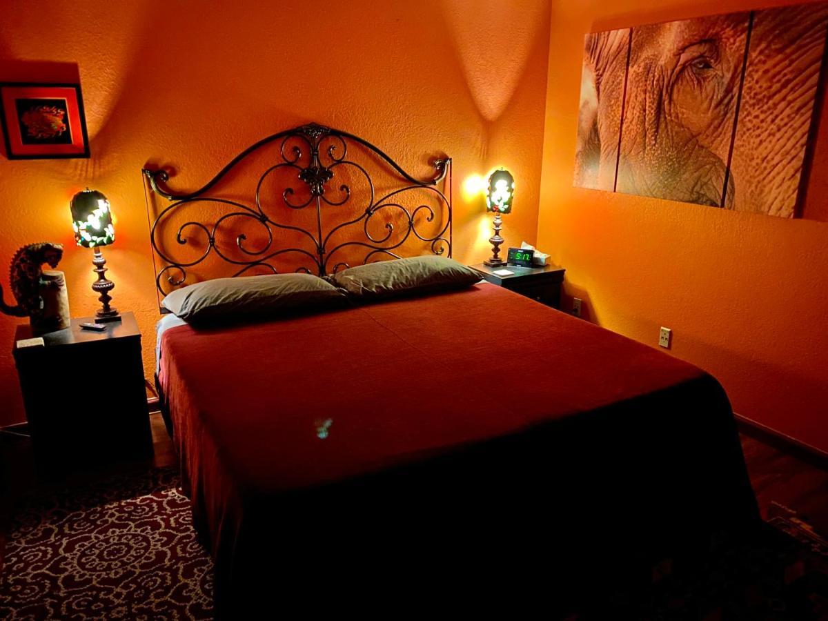 My Big Art Project Bed & Breakfast Santa Rosa Exterior photo