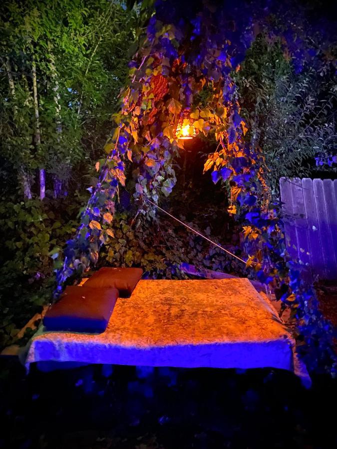 My Big Art Project Bed & Breakfast Santa Rosa Exterior photo