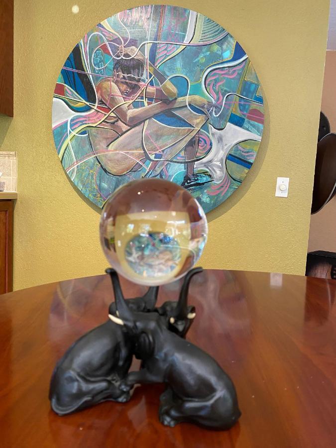 My Big Art Project Bed & Breakfast Santa Rosa Exterior photo
