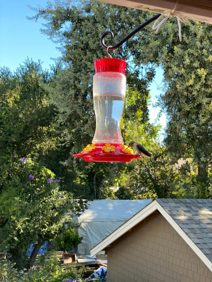 My Big Art Project Bed & Breakfast Santa Rosa Exterior photo